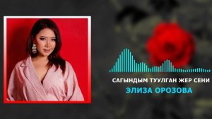 Элиза Орозова - Сагындым туулган жер сени