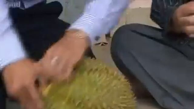 Durian, a Southeast fruit with its own monument in Cambodia смотреть онлайн
