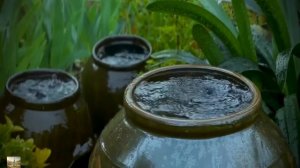 Звуки дождя, Rainy sounds