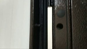 Входная дверь Леда