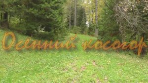 Осенний косогор  2022г.