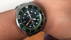 Seiko Prospex Solar GMT Sumo Green SFK003 on my wrist #womw #divewatch