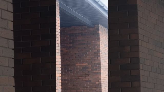 -4499758938279854342