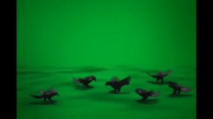Вороны футаж green screen скачать