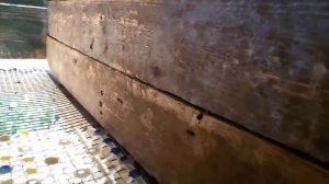 Дешевая поилка для  кроликов своими руками