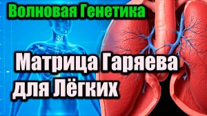 Матрица Гаряева для лёгких .Волновая генетика
