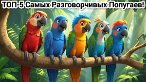 ТОП-5 САМЫХ РАЗГОВОРЧИВЫХ ПОПУГАЕВ🦜 КТО ГОВОРИТ ЛУЧШЕ ВСЕХ?Детская Познавательная История| Мультик|