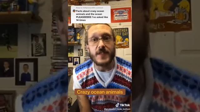 Ocean facts with professor Niple-Bottom смотреть онлайн
