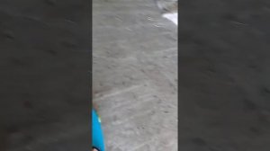 Какой выбрать скейтборд для катания