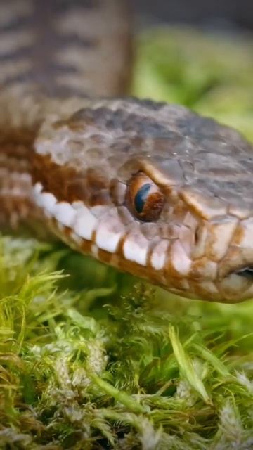 Photography📸❤️ смотреть онлайн