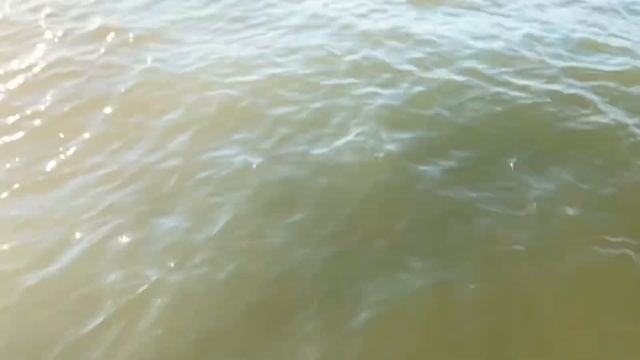 Поездка на море с куклой реборн🫶🏻🤍//Пошли на пляж с куклой?😱 смотреть онлайн