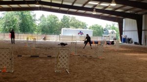 Creed biathlon jumpers  5/19/18