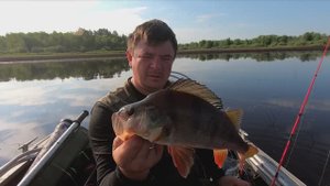 Окуни звереют в таких местах