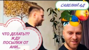 САМВЕЛ АДАМЯН,
КИЕВЛЯНИН ПО ГОСТЯМ...
КРАСНАЯ И ЧЕРНАЯ...