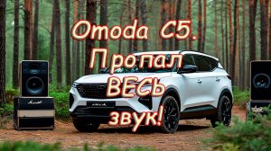 Omoda C5. Пропал ВЕСЬ звук!