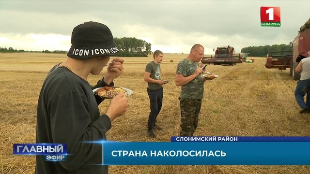 Хлеб — всему голова! Беларусь собрала уже 4,5 млн тонн зерна. Главный эфир