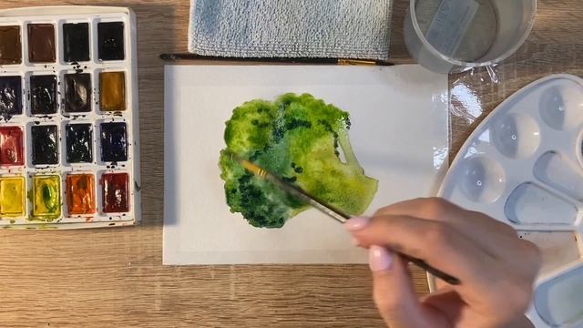 Как нарисовать брокколи карандашом и акварелью начинающим | Рисунок для детей