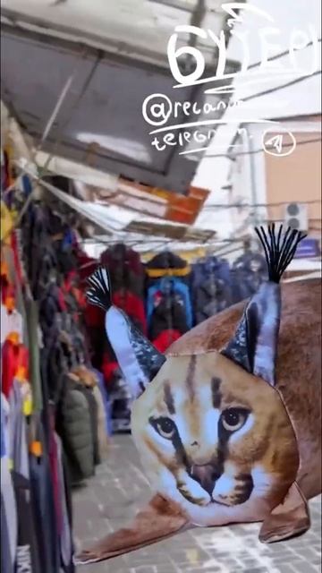 РАЗНОВИДНОСТИ ИГРУШЕЧНЫХ ШЛЁП смотреть онлайн