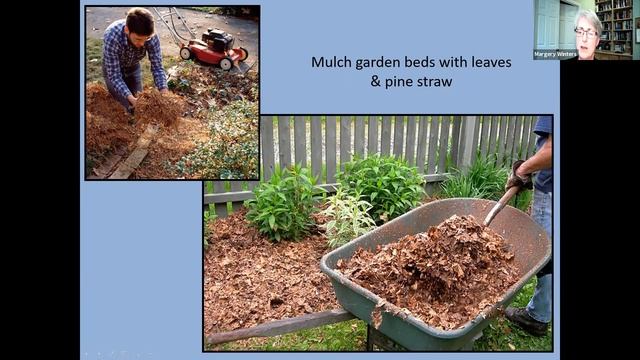 Gardening for Bees, Butterflies, and Other Pollinators смотреть онлайн