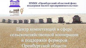 Подготовка к участию в грантах "Агростартап" и "Агромотиватор" (грант для участников СВО)