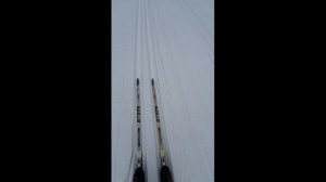 ДАЛ ШКОЛЬНИКУ ПРОКАТИТЬСЯ НА BRADOS PRO SKATE AIR ВПЕЧАТЛЕНИЕ