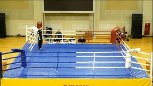 ЧЕМПИОНАТ САМАРСКОЙ ОБЛАСТИ ПО СМЕШАННОМУ БОЕВОМУ ЕДИНОБОРСТВУ ММА