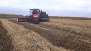 Уборка риса. Самоходный модуль ГМ 100 с жаткой валковой ЖВР-5. РисАгроМаш