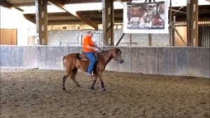 Вестерн: обучение спину