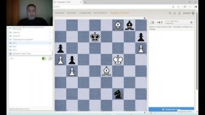 Шахматы. домашнее задание к занятию 26. Два слона в эндшпиле.