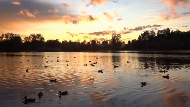 Романтика осеннего Тихвина смотреть онлайн