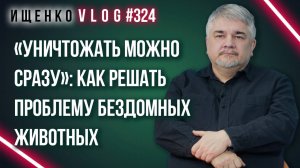 Собак от людей или наоборот? Кого защищать и как решать проблему с бездомными животными - Ищенко