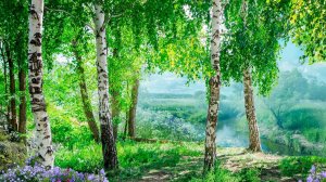 За тихой рекою . Поёт Валентина Дробышева.