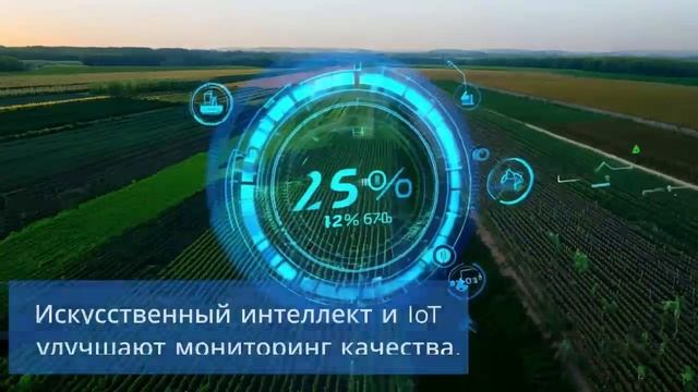 Особенности сертификации пищевой продукции в 2025 году — сертификат-декларация.рф