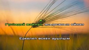 Ауылым караоке казакша Нұрлан Өнербаев