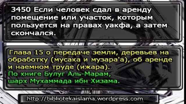 3450 Если человек сдал в аренду помещение или участок, которым пользуется смотреть онлайн