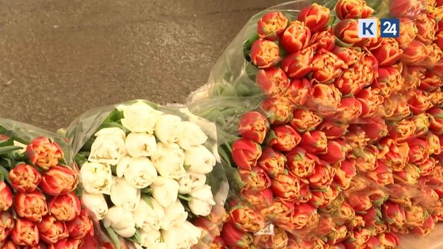 В Краснодаре букет тюльпанов к 8 Марта в среднем обойдется в 2,3 тыс. рублей