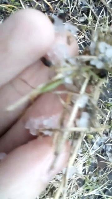 Друга Весняна гроза в Сумах+льодяна крупа. 2019-03-22 (1) смотреть онлайн