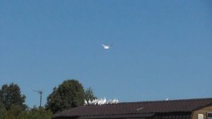 Бойные Голуби Касаны Гульбадамы -  Гульбаданы в гостях у Саши Афганца( август часть 1)