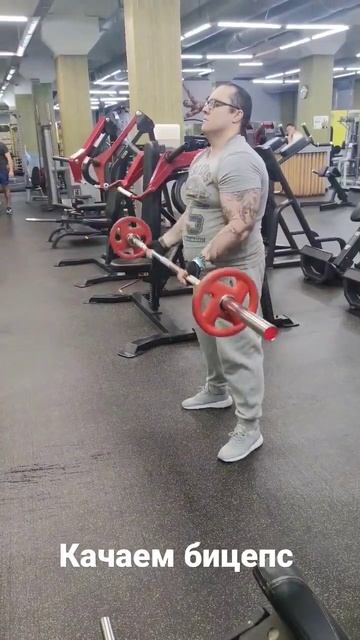 упражнения на бицепс #качалка #спорт #бодибилдинг #фитнес #жимштанги #упражнения #техника #бицепс
