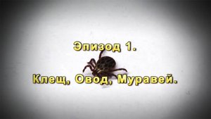 Эпизод-01 клещ