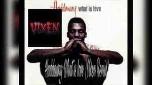 Haddaway - What Is Love (Vixen Remix)