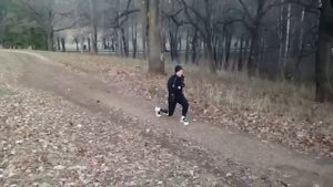 Ходьба выпадами назад/вперед