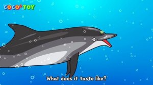 EN DubbingㅣWhen we are together! Bottle-nose Dolphin familyㅣanimals cartoon for childrenㅣCoCosToy