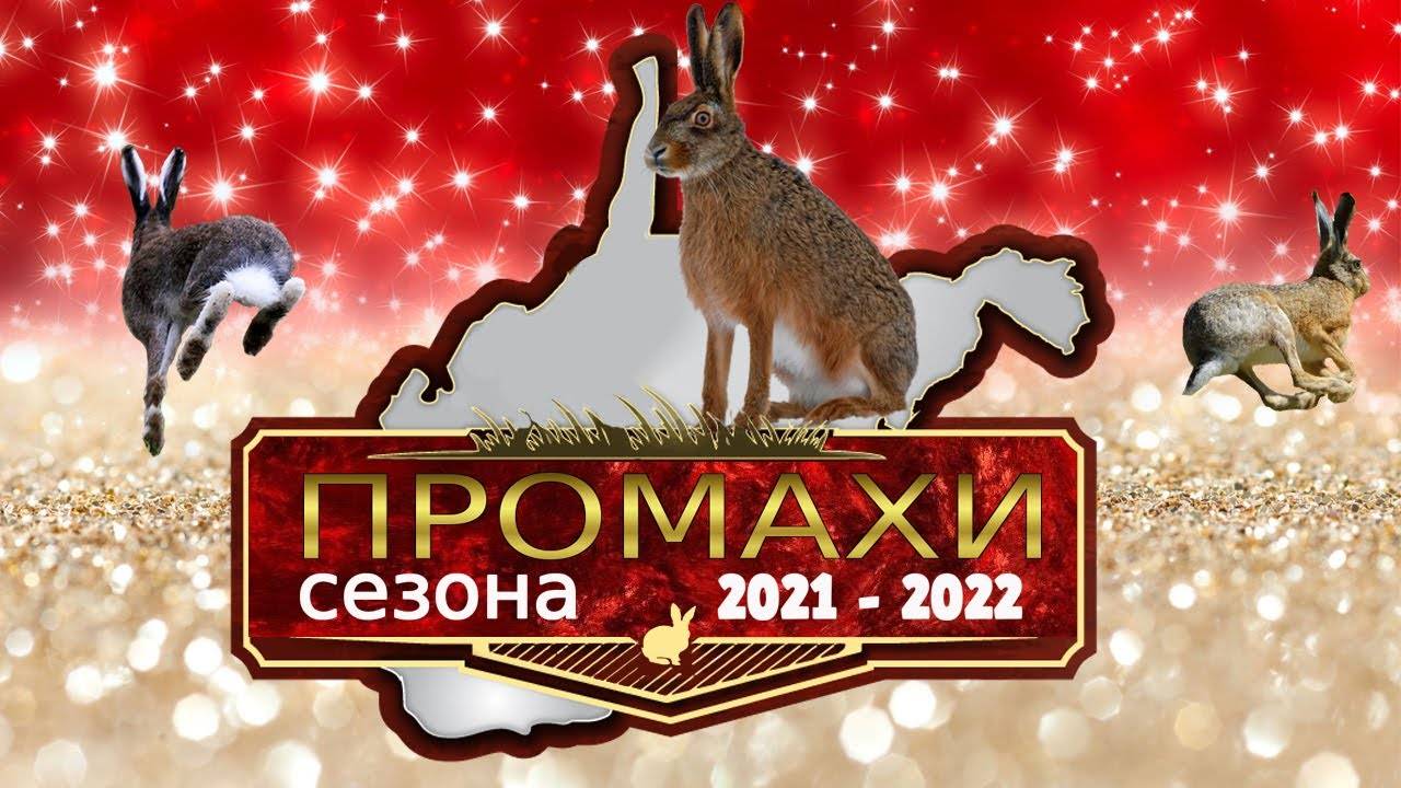 Охота на зайца. ПРОМАХИ И ОШИБКИ.