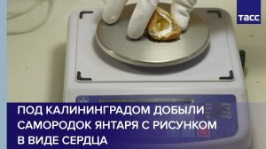 Под Калининградом добыли самородок янтаря с рисунком в виде сердца