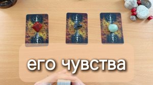 Его чувства к тебе сейчас. Гадание Таро онлайн