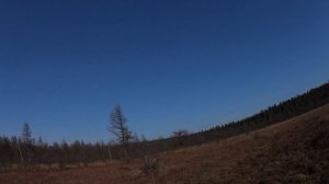 Прогулка у речки Хади с местным жителем п. Гатка