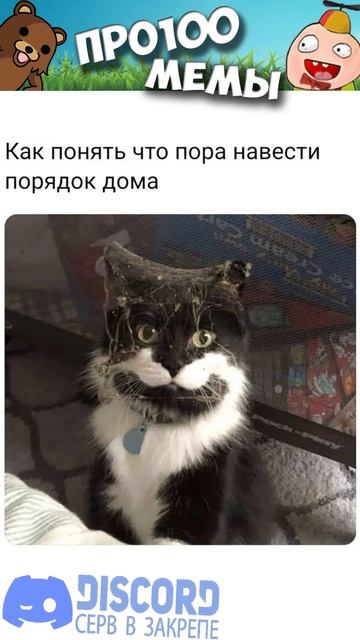 Мемы с Котами #анекдоты #юмор #приколы #мемы #shorts смотреть онлайн