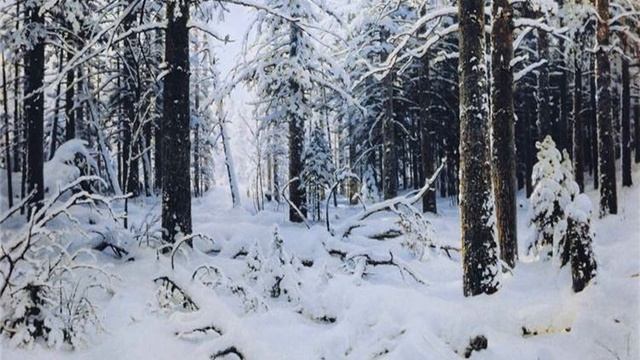 И Шишкин певец родной природы смотреть онлайн