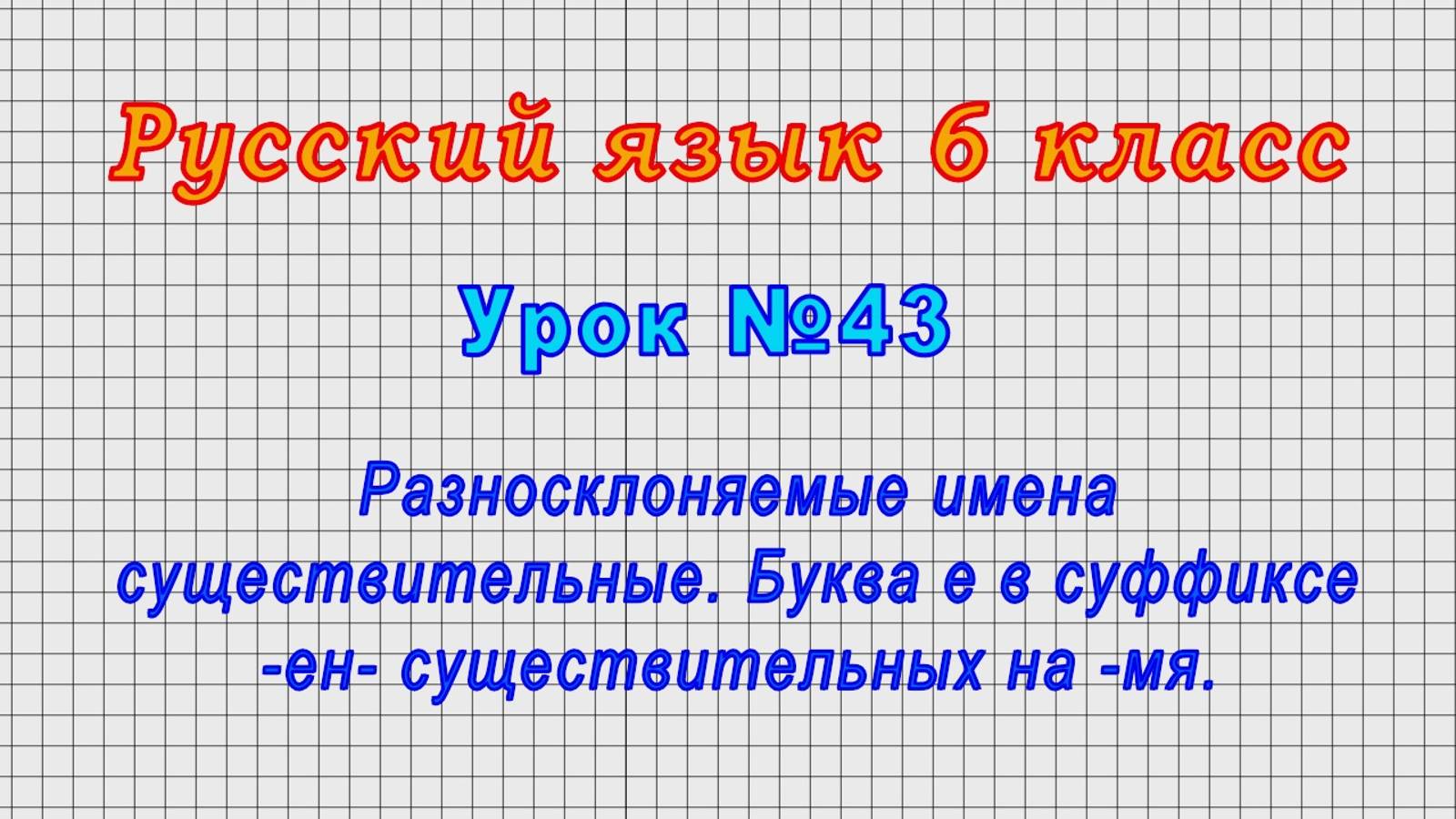 Русский язык 6 класс (Урок№43 - Разносклоняемые имена существительные.)